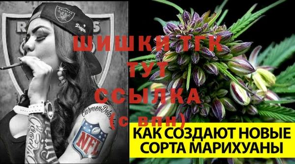 шишки Волоколамск