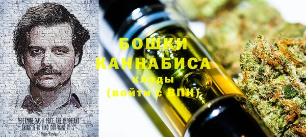 шишки Волоколамск
