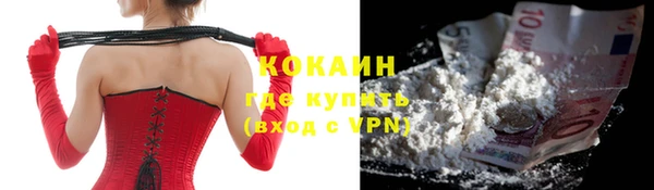 шишки Волоколамск
