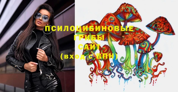 прущие грибы Володарск