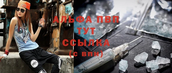 прущие грибы Володарск