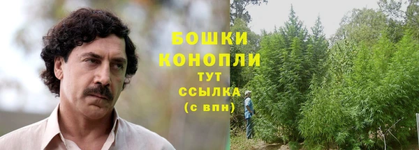 шишки Волоколамск