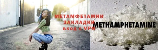 прущие грибы Володарск
